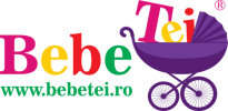 bebe tei_logo bebe tei_logo
